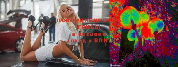 спиды Верея