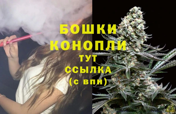 прущие крисы Верхний Тагил