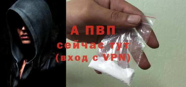 ешки Бородино