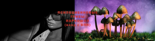 трава Верхнеуральск