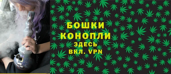ешки Бородино