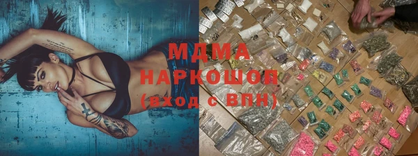ешки Бородино