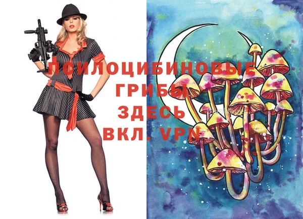 трава Верхнеуральск