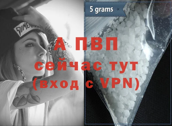 спиды Верея