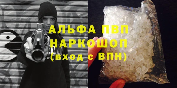 ешки Бородино