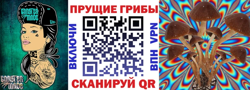 OMG рабочий сайт  Крым  Галлюциногенные грибы Psilocybine cubensis 